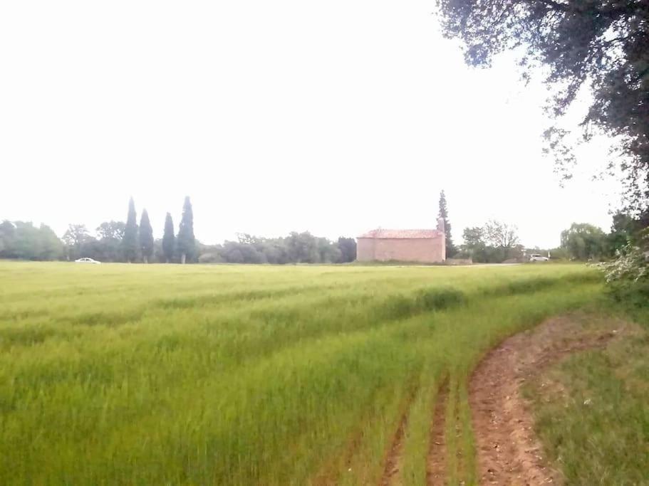 Apartament El Niuet De Cal Cacuet, La Teva Escapada Rural. Aviá Zewnętrze zdjęcie