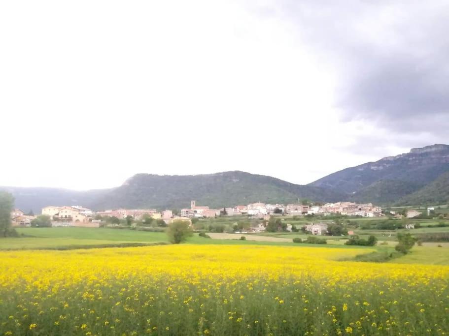 Apartament El Niuet De Cal Cacuet, La Teva Escapada Rural. Aviá Zewnętrze zdjęcie