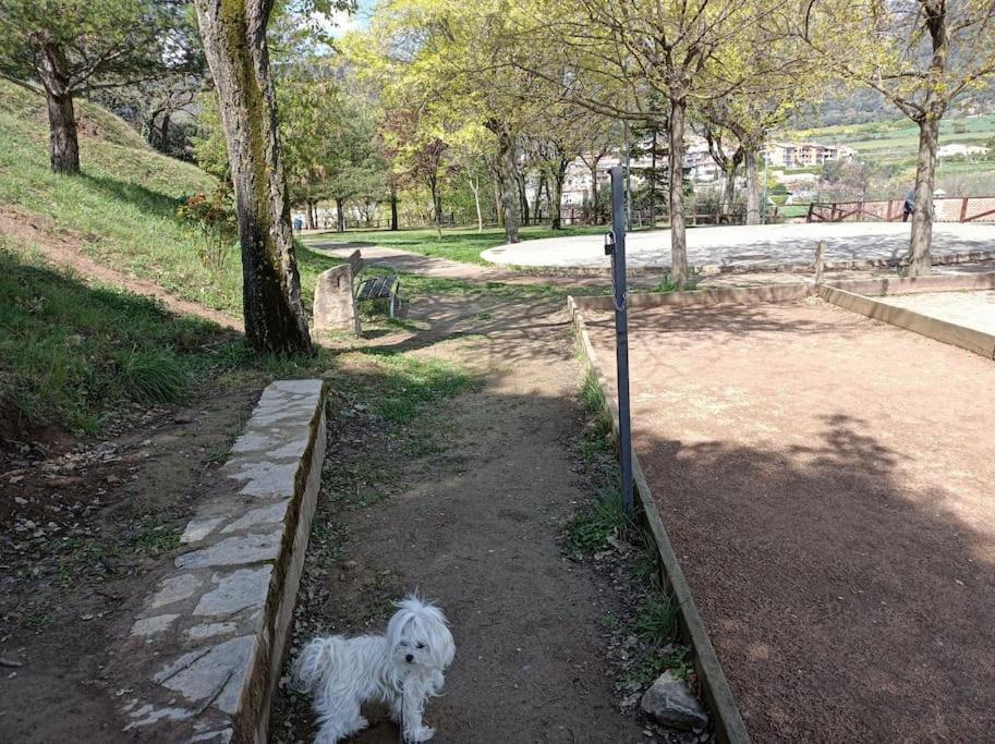 Apartament El Niuet De Cal Cacuet, La Teva Escapada Rural. Aviá Zewnętrze zdjęcie